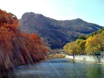 新澳天天开奖资料大全旅游团，财务托管